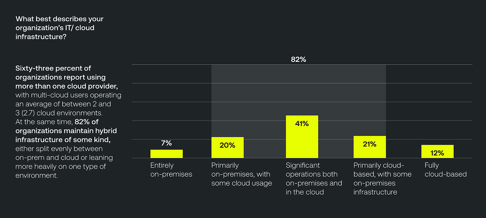 What best describes your organization's IT/cloud infrastructure?