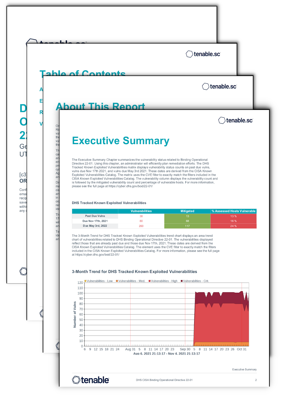 DHS CISA Binding Operational Directive 22-01 Report - SC Report ...