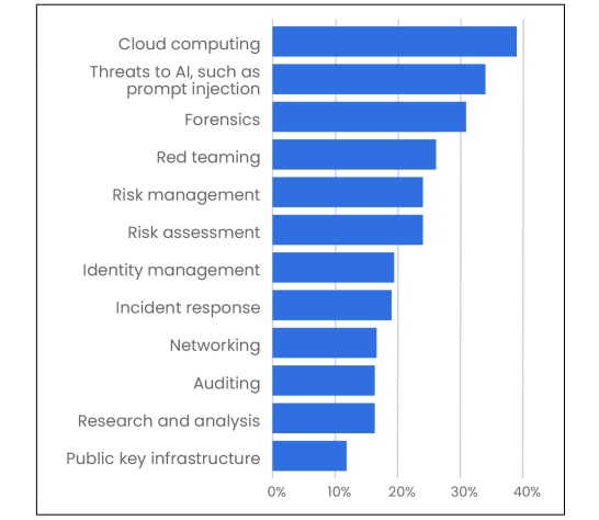 Report: Cloud security, AI vulns are biggest cyber skills gap