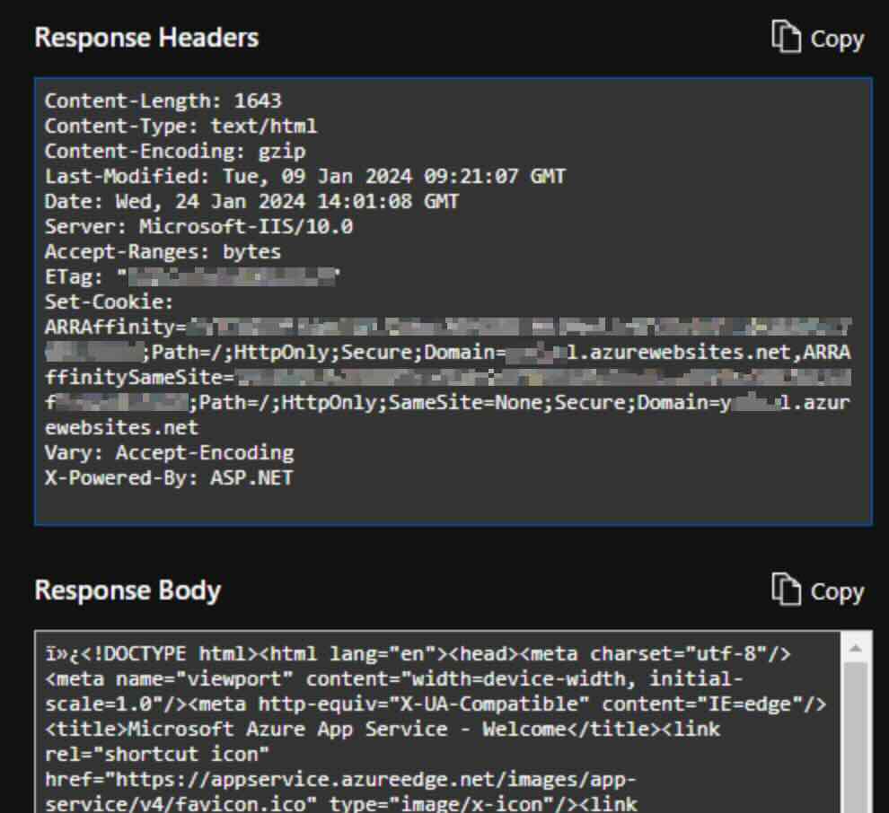 The attacker can also view the response and add custom headers, which are available through the "standard test" feature