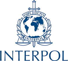 Interpol disrupts global online scams, seizes $257M in assets