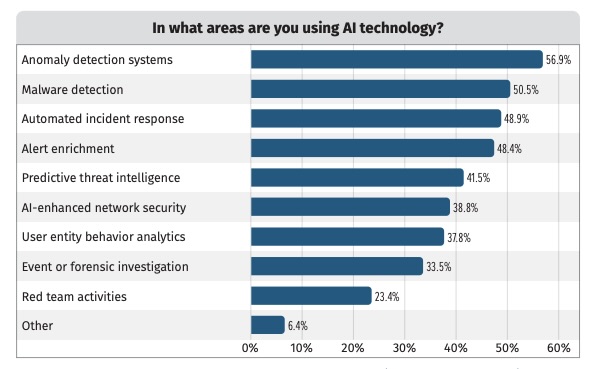 SANS 2024 AI Survey chart