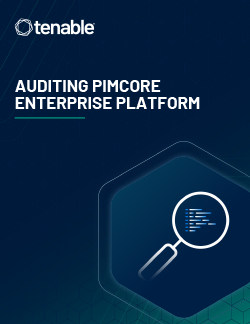 Auditing Pimcore Enterprise Platform