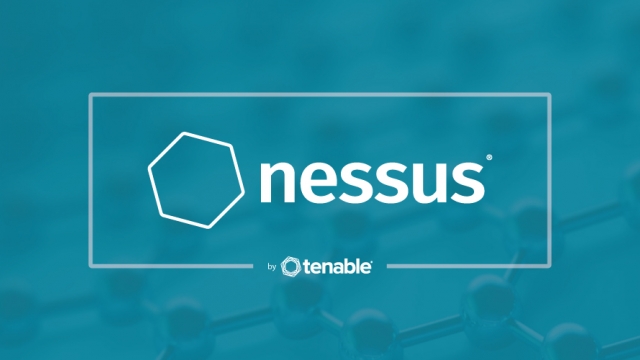 how to use nessus scan website