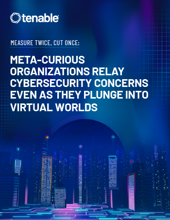Managing Risk in the Metaverse